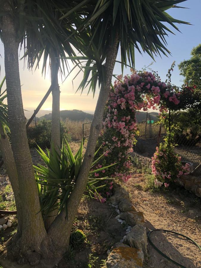 Las Ninas Vejer de la Frontera Exteriör bild